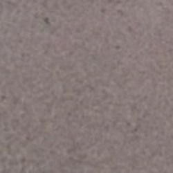 Gris taupe