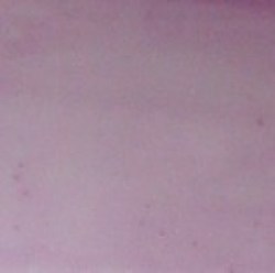 Lustre lilas rose