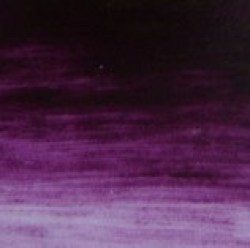 Violet d'or